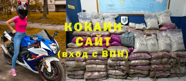 тгк Абаза