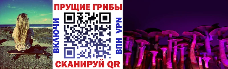 Галлюциногенные грибы Cubensis  Ессентукская 